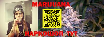 спиды Новодвинск