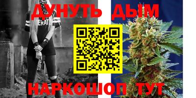 спиды Новодвинск