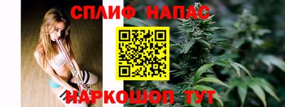 спиды Новодвинск