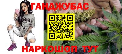 спиды Новодвинск