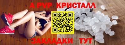 спиды Новодвинск