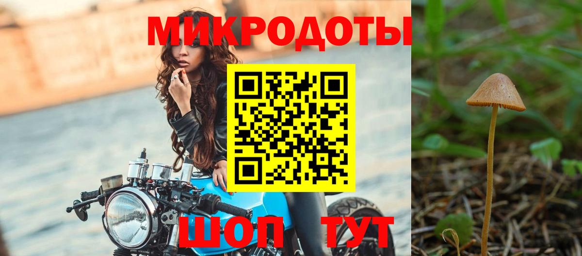 Тула  Псилоцибиновые грибы Magic Shrooms  Псилоцибиновые грибы Psilocybine cubensis  Вход с VPN 